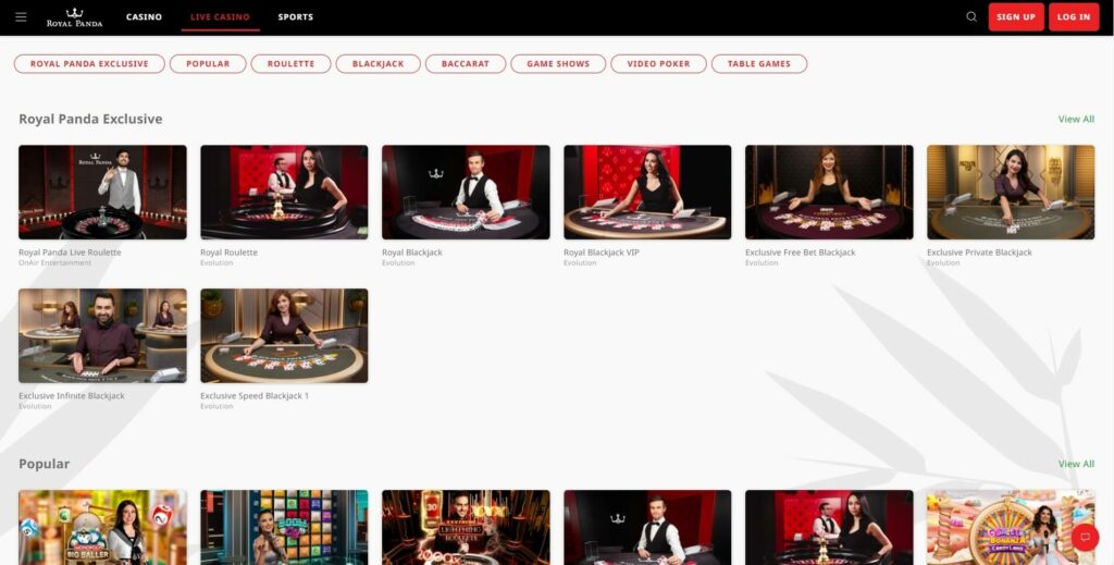 djbet333