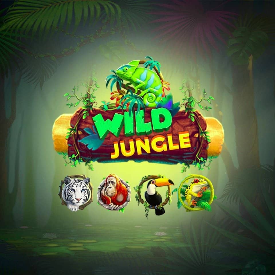 lapalingo